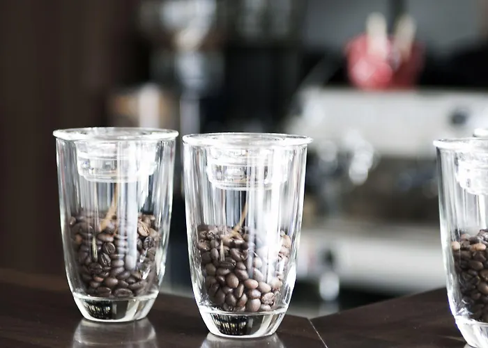 Hotel Boutique Stockum 3*